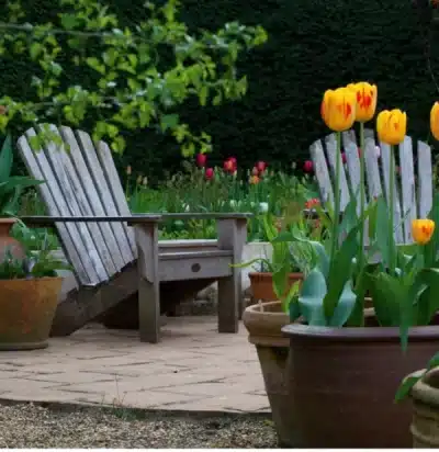 Jardines-con maceteros-de-tulipanes
