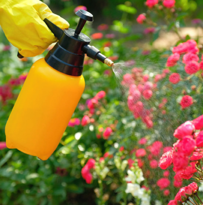 Fumigando-para-las-plagas Fumigando-para-las-plagas