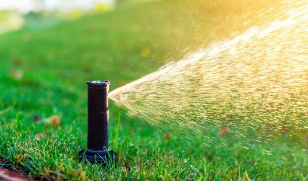 Mantenimiento del cesped, riego