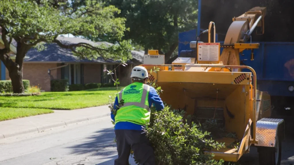 Reciclaje de material organico