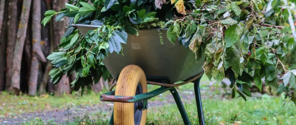 Recogida de restos de poda y tala