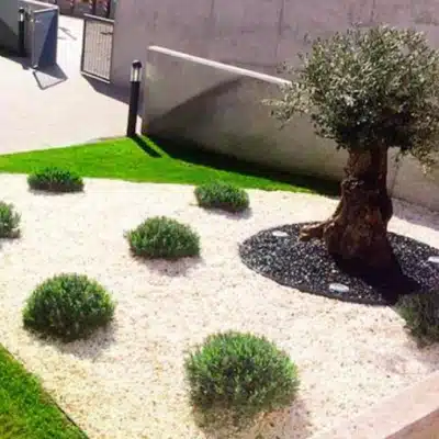 Diseño y paisajismo siempre verde