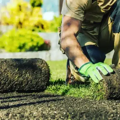 Instalación césped natural siempre verde