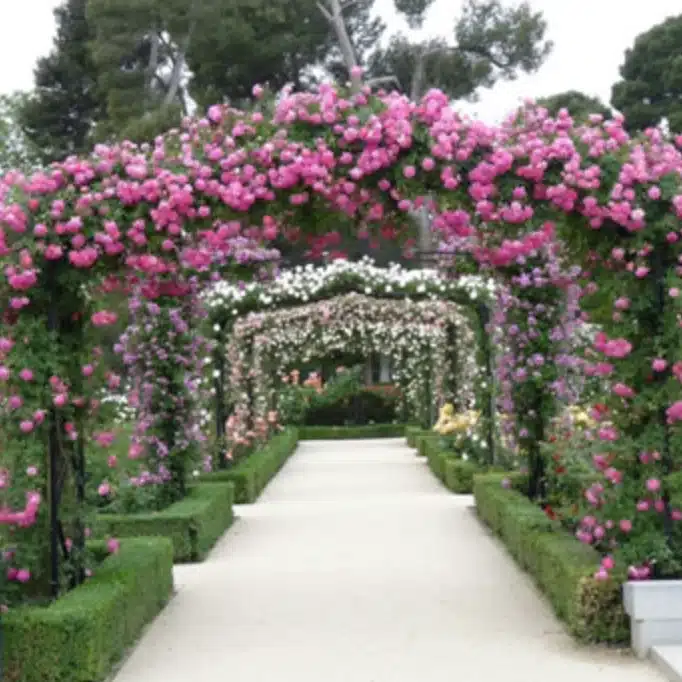 Jardines en Verano Jardines en Verano