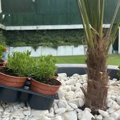 Diseño y paisajismo JosGard