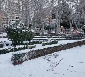 Los jardinillos en invierno