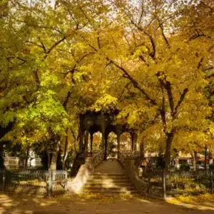 Los jarinidillos en otoño