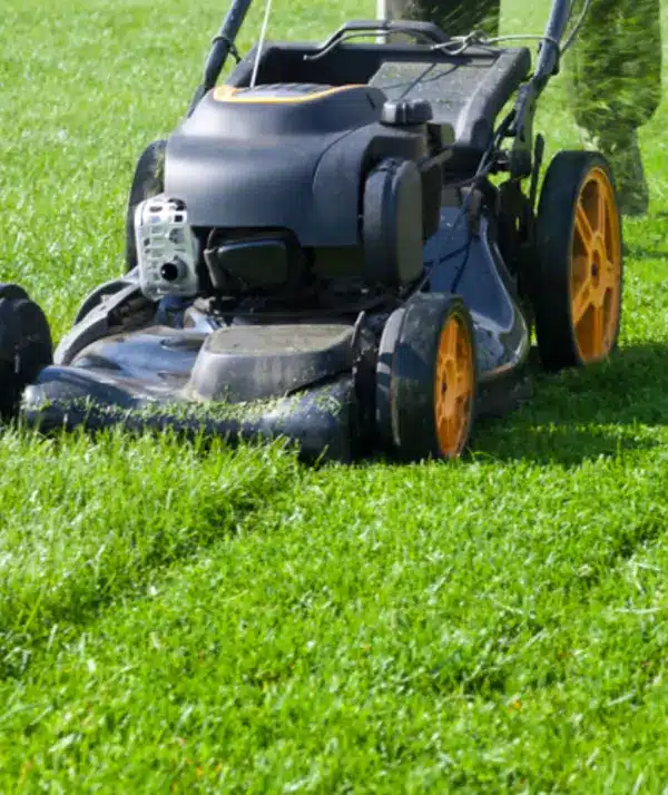 Mantenimiento jardín con corta-césped