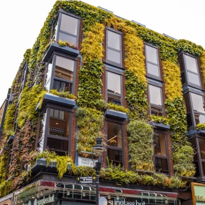 Jardin vertical para 9